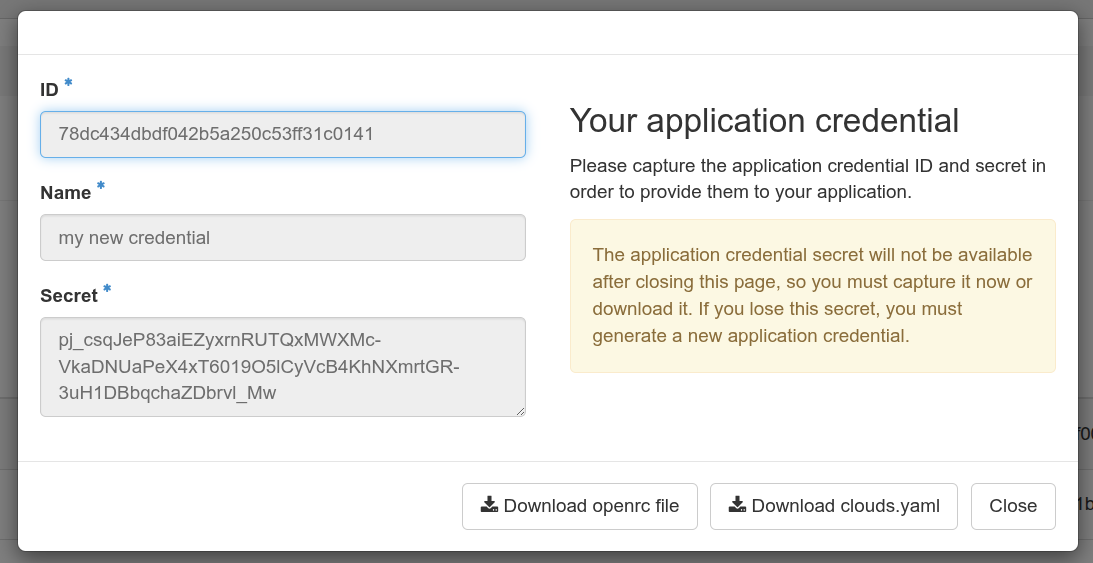 The newly minted application credentials