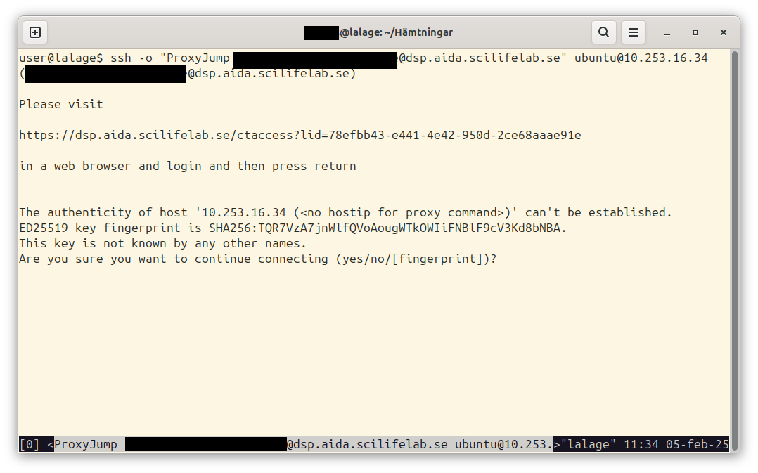DSP connection in progress, connect to actual VM