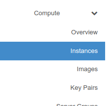 Finding Instances in the menu